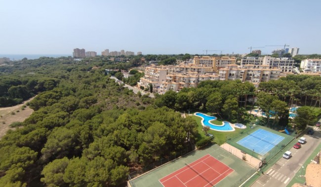 Begagnad - Lägenhet - Orihuela Costa - Campoamor
