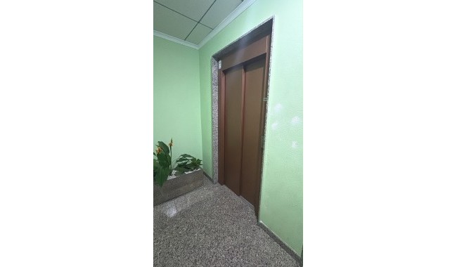 Segunda mano - Apartamento - Torrevieja - Costa Blanca