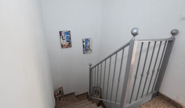 Segunda mano - Adosado - Algorfa - Montemar