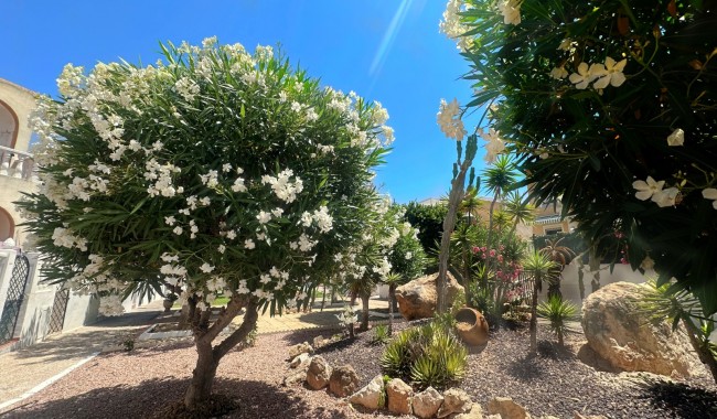Resale - Apartment - La Mata, Torrevieja - La Mata