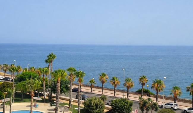 Segunda mano - Apartamento - Orihuela Costa - Aguamarina