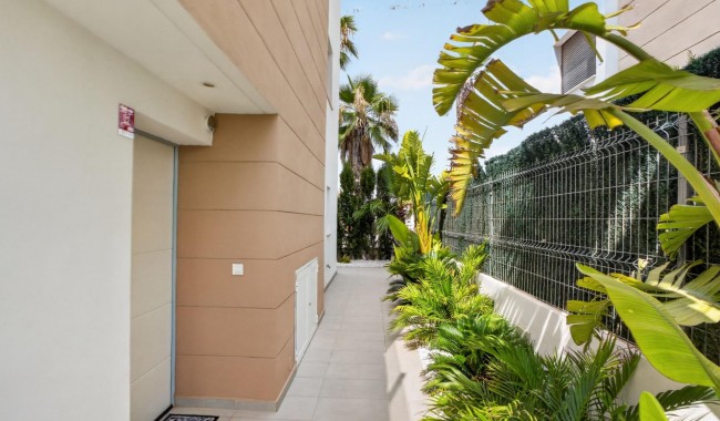 Resale - Villa - Guardamar - EL RASO