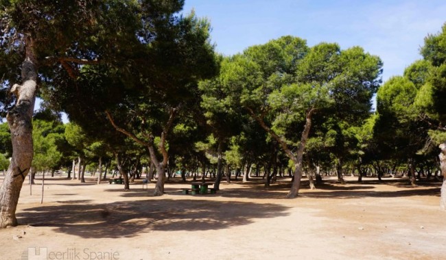 Begagnad - Lägenhet - San Javier - Santiago de la Ribera
