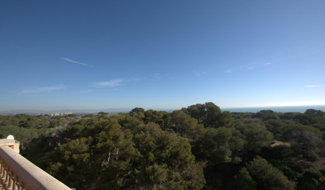 New Build - Apartment - Guardamar - Pueblo