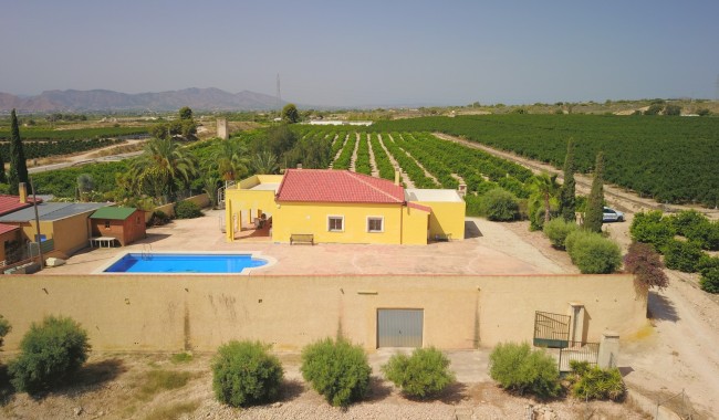 Segunda mano - Finca - Albatera - Albatera - Country