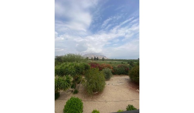 Resale - Finca - Orihuela - Orihuela Costa