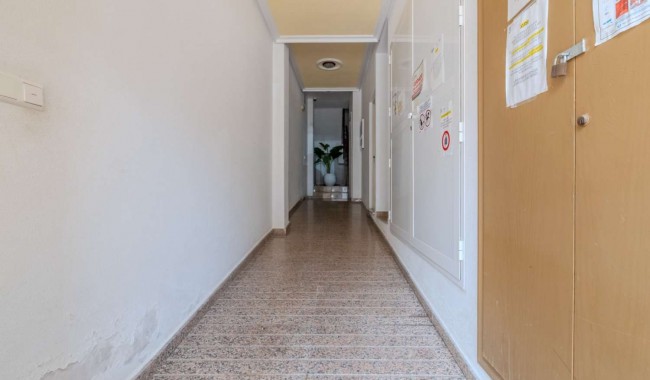 Sprzedaż - Apartament - Torrevieja - El Molino