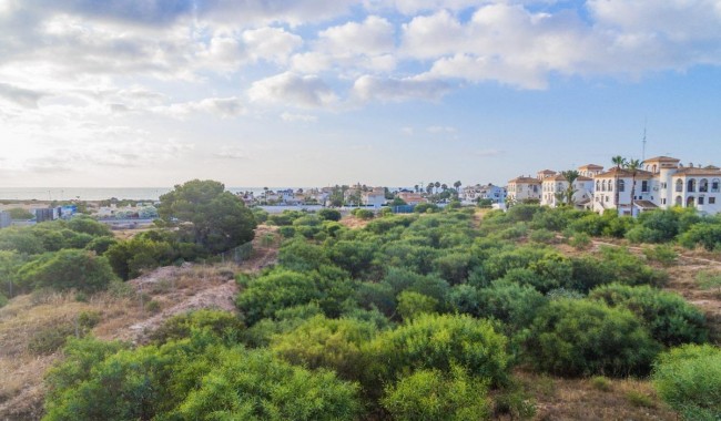 Nowa konstrukcja - Apartament - Orihuela costa - Playa Flamenca