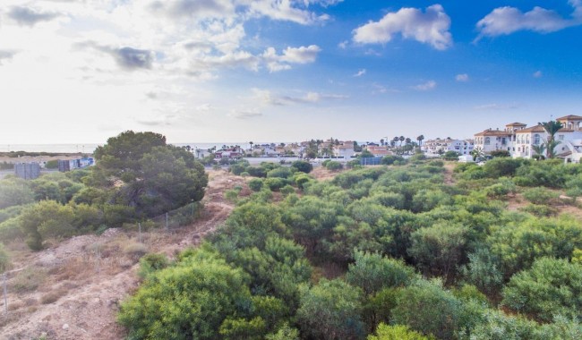 Nowa konstrukcja - Apartament - Orihuela costa - Playa Flamenca