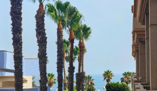 Brukt - Leilighet - Orihuela Costa - Dehesa de Campoamor