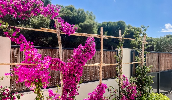 Begagnad - Lägenhet - San Javier - Santiago de la Ribera