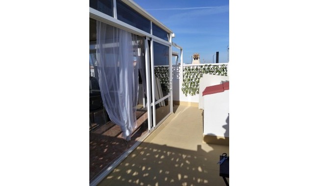 Brukt - Leilighet - Torrevieja - Los Frutales