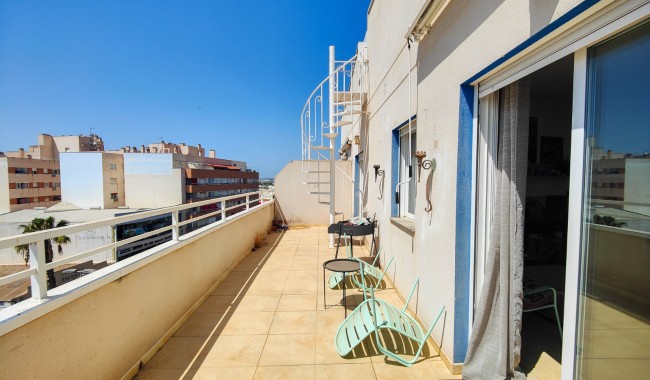 Wynajem długoterminowy - Apartament - Torrevieja - Antonio Machado