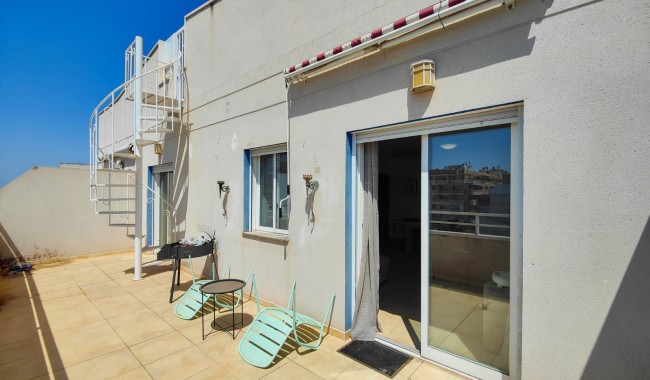 Wynajem długoterminowy - Apartament - Torrevieja - Antonio Machado
