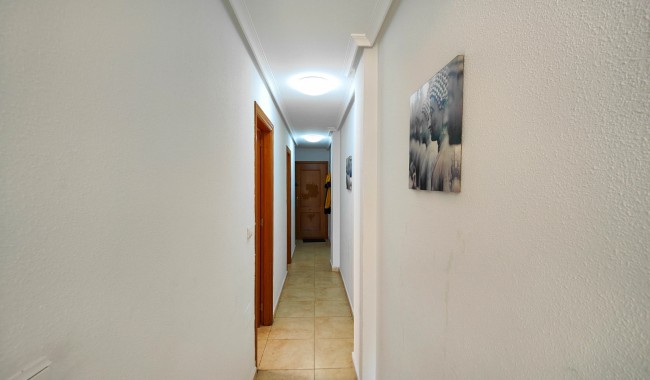 Wynajem długoterminowy - Apartament - Torrevieja - Antonio Machado