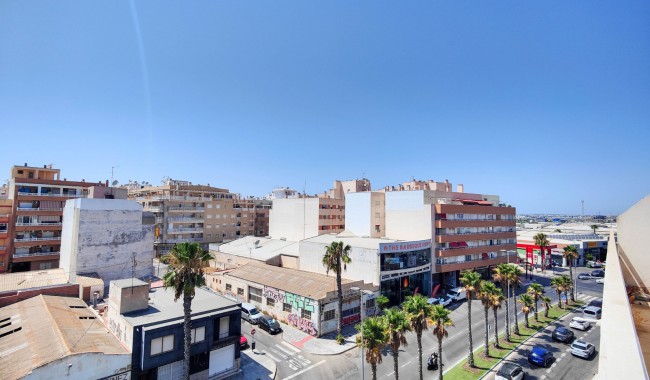 Wynajem długoterminowy - Apartament - Torrevieja - Antonio Machado