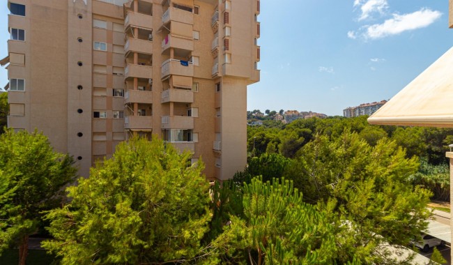 Sprzedaż - Apartament - Orihuela costa - Dehesa de Campoamor