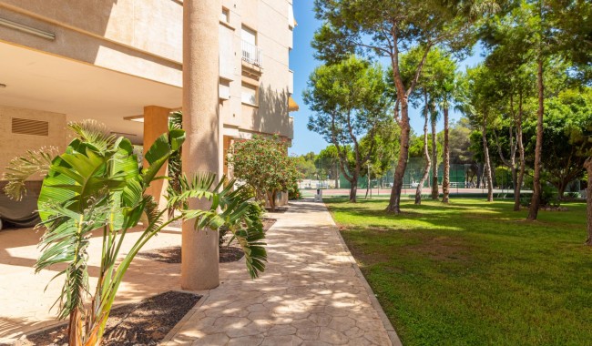 Sprzedaż - Apartament - Orihuela costa - Dehesa de Campoamor