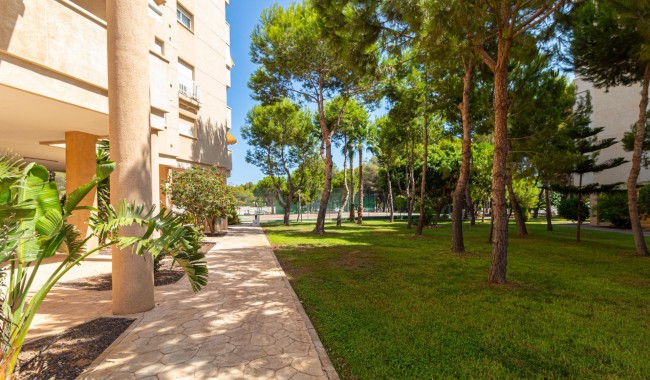Sprzedaż - Apartament - Orihuela costa - Dehesa de Campoamor