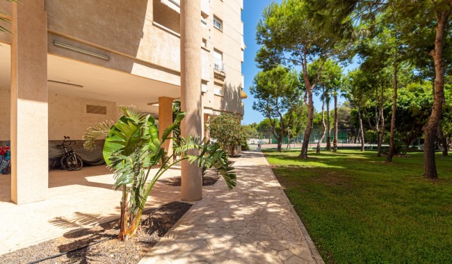 Sprzedaż - Apartament - Orihuela costa - Dehesa de Campoamor
