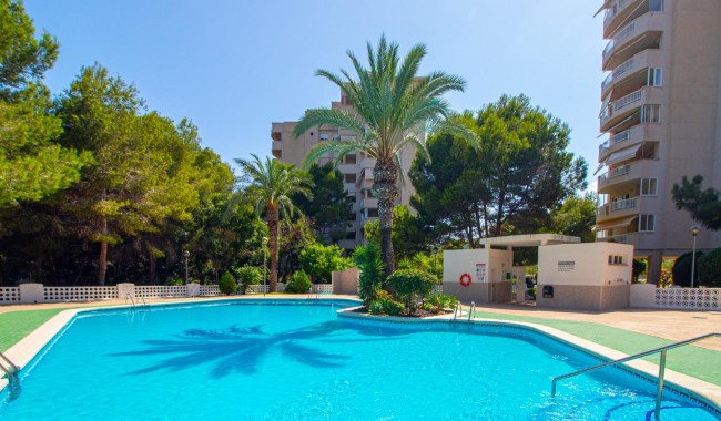 Sprzedaż - Apartament - Orihuela costa - Dehesa de Campoamor