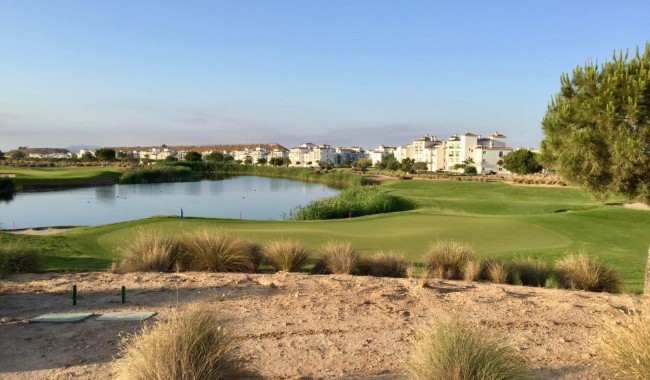 Brukt - Leilighet - Sucina - Hacienda Riquelme Golf