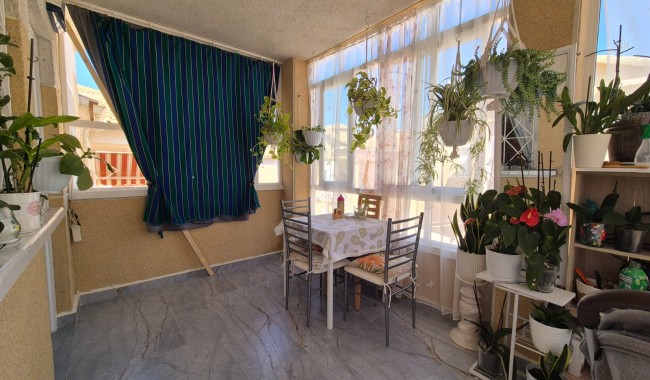 Resale - Apartment - Torrevieja