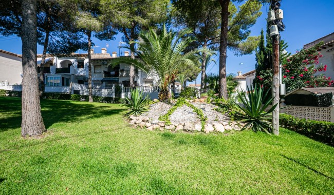 Segunda mano - Apartamento - Torrevieja - Los Balcones