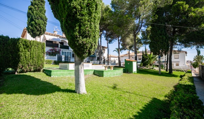 Segunda mano - Apartamento - Torrevieja - Los Balcones