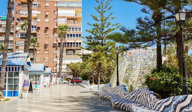 Segunda mano - Apartamento - Torrevieja - Los Balcones