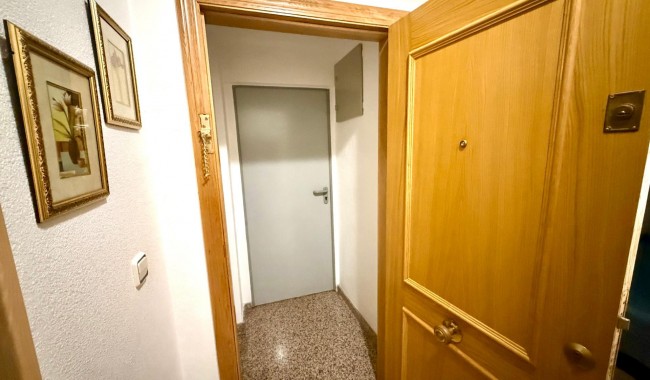 Begagnad - Lägenhet - Torrevieja - Acequion