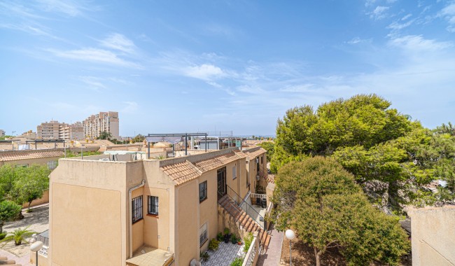 Brukt - Leilighet - Torrevieja