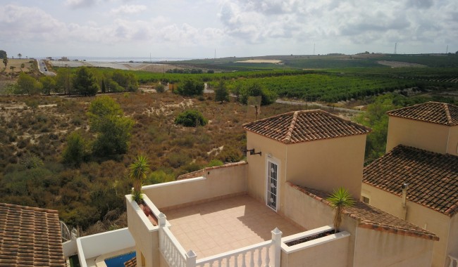 Brukt - Villa - San Miguel de Salinas - Lake View Mansions