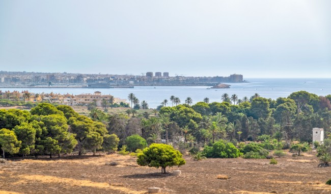 Sprzedaż - Apartament - Torrevieja - Punta Prima