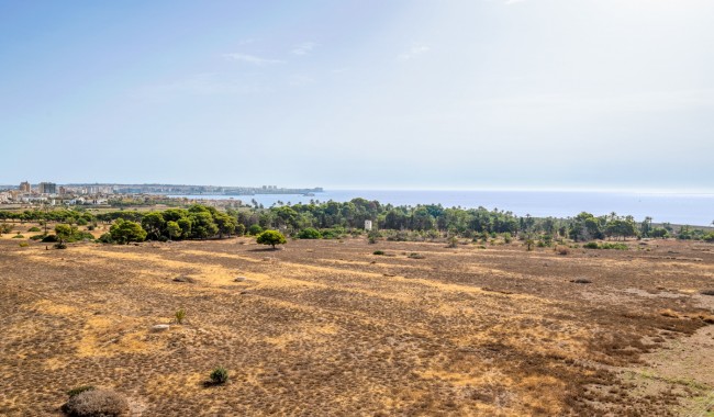 Sprzedaż - Apartament - Torrevieja - Punta Prima