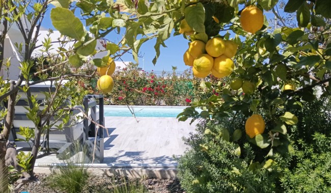 Brukt - Villa - Algorfa - La Finca golf