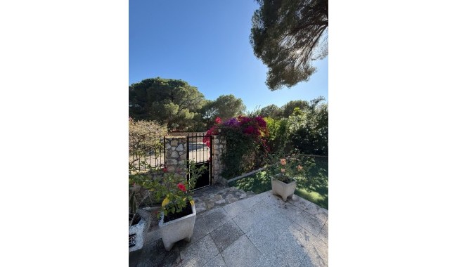 Resale - Villa - Orihuela - Dehesa de Campoamor