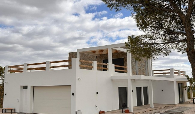 New Build - Villa - Pinoso - Casas Pastor