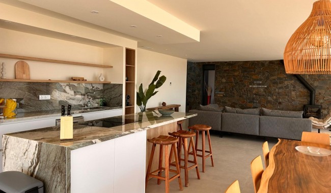 New Build - Villa - Pinoso - Casas Pastor