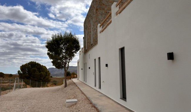New Build - Villa - Pinoso - Casas Pastor