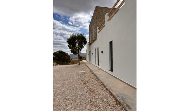 New Build - Villa - Pinoso - Casas Pastor