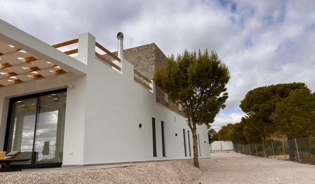 New Build - Villa - Pinoso - Casas Pastor