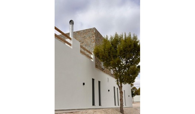 New Build - Villa - Pinoso - Casas Pastor