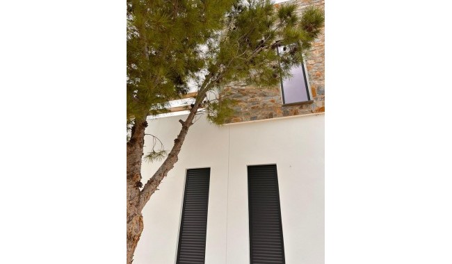 New Build - Villa - Pinoso - Casas Pastor