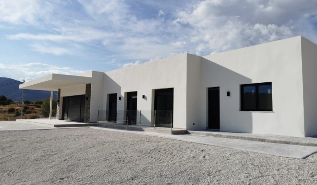 New Build - Villa - Pinoso - Casas Pastor