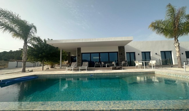 New Build - Villa - Pinoso - Casas Pastor