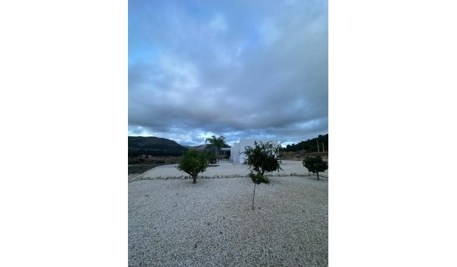 New Build - Villa - Pinoso - Casas Pastor