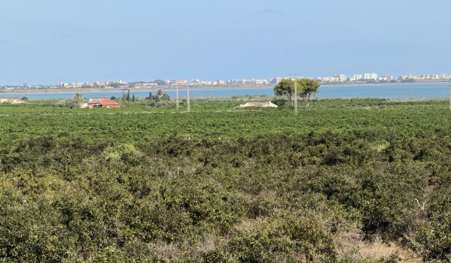Brukt - Villa - Ciudad Quesada/Rojales - Doña Pepa