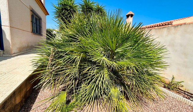 Brukt - Villa - Torrevieja - Urbanización San Luis