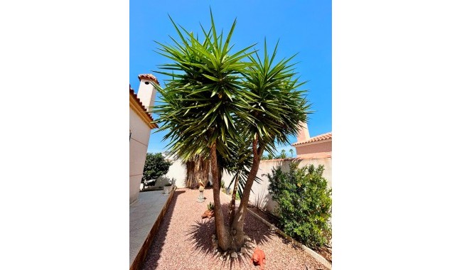 Brukt - Villa - Torrevieja - Urbanización San Luis
